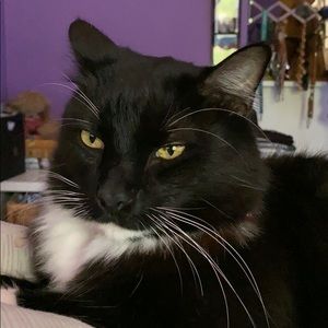 Meet your Posher, Cassandra